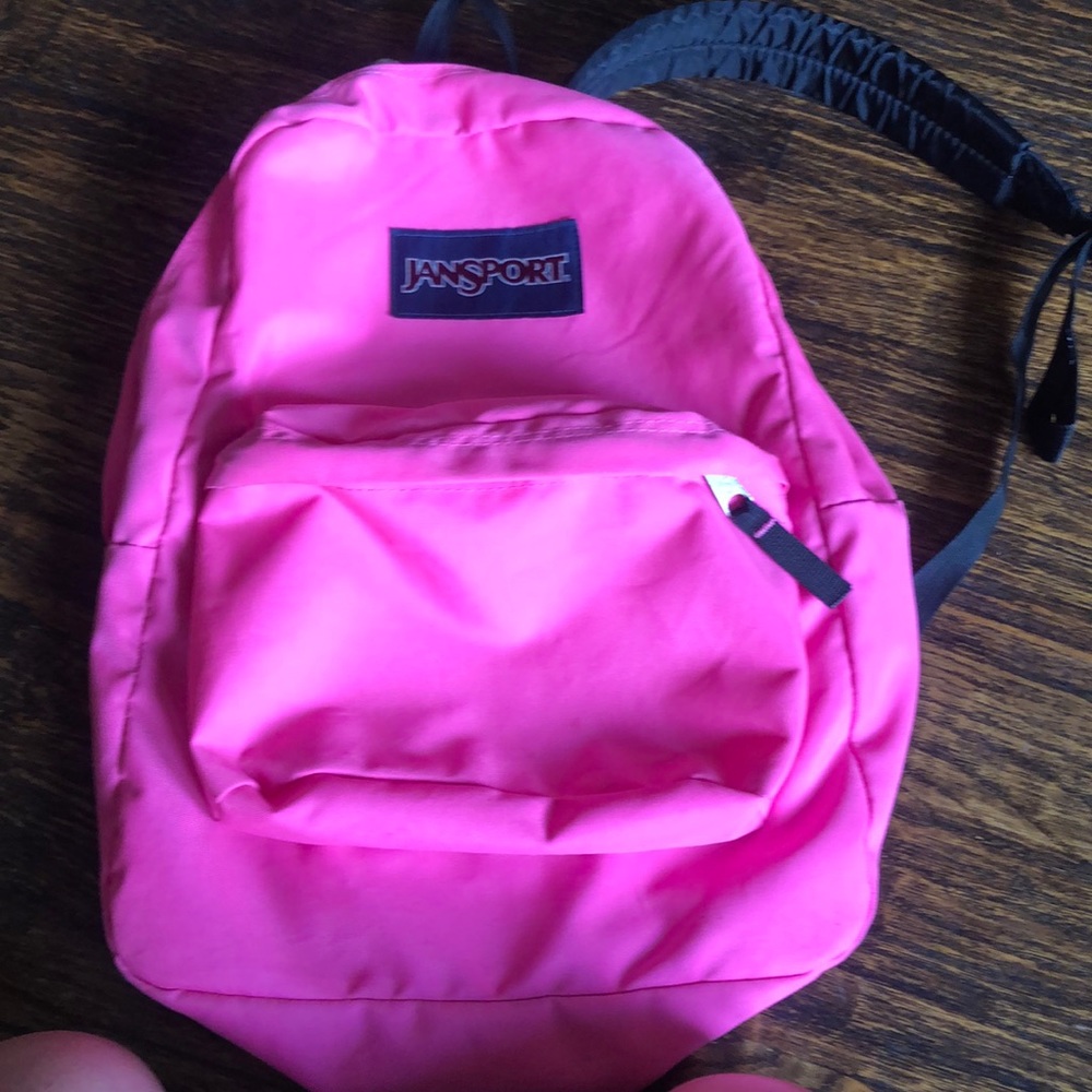 Hot pink Backpack